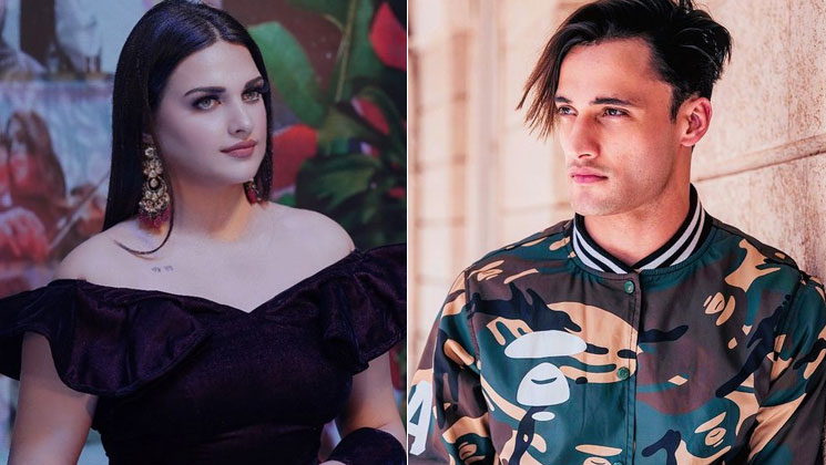 asim riaz, himanshi khurana