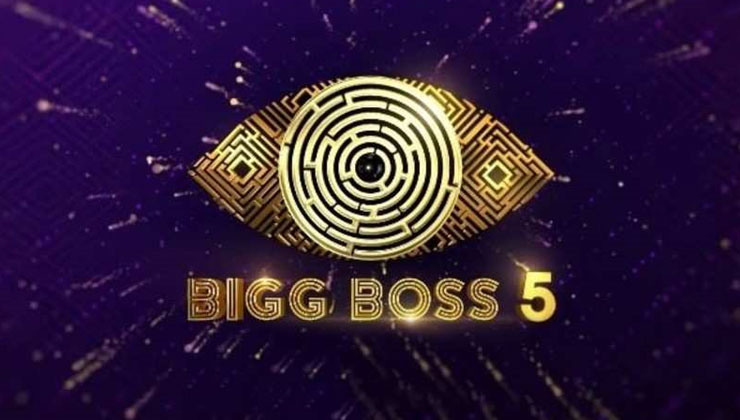 Bigg Boss Telugu 5, Bigg Boss Telugu
