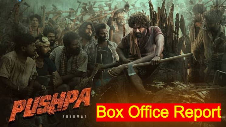 pushpa box office, allu arjun, rashmika mandanna,