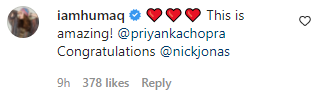Huma Qureshi wish for Priyanka Chopra and Nick Jonas
