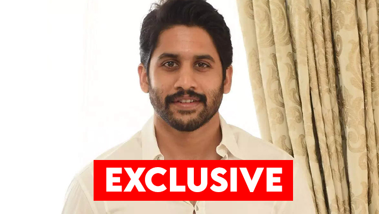 naga chaitanya, naga chaitanya movies, naga chaitanya pictures