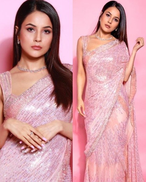 Bigg Boss 13, saree looks, Shehnaaz Gill