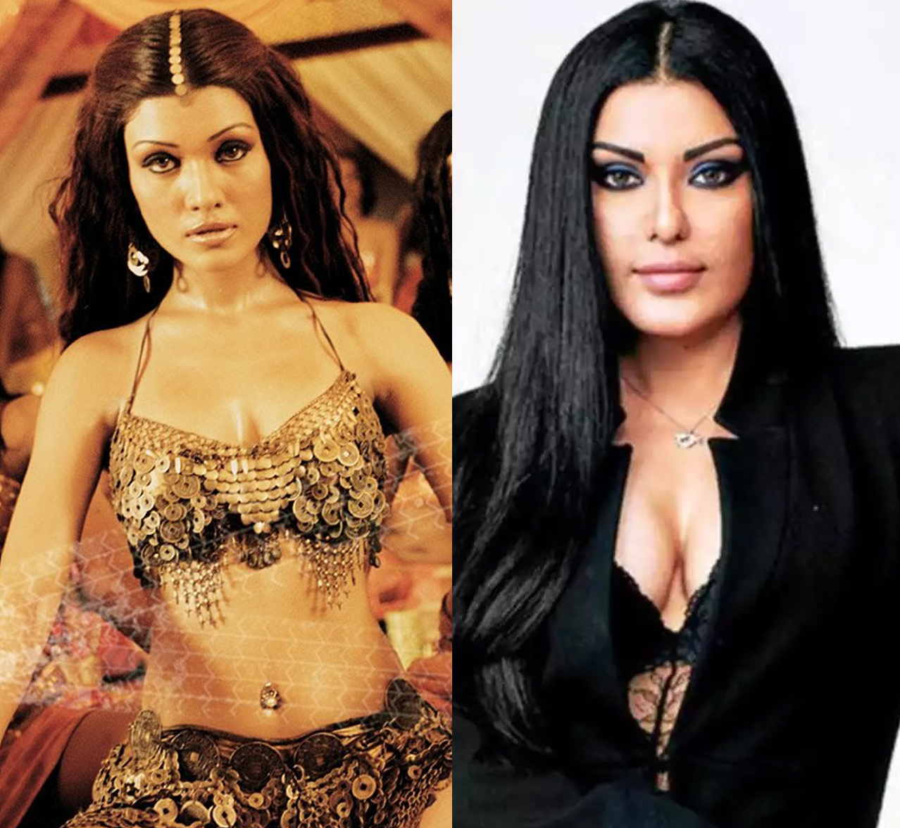 Koena Mitra, Bollywood actresses who disappeared
