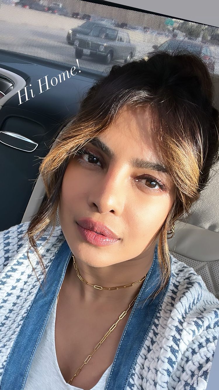 priyanka chopra, priyanka chopra instagram, priyanka chopra husband,