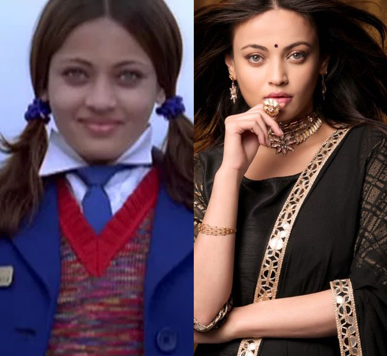 Sneha Ullal, Bollywood actresses who disappeared