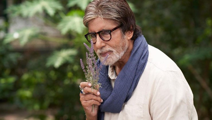 Amitabh Bachchan, goodbye, star cast fees