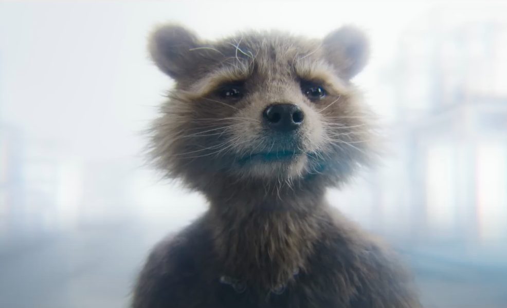 Guardians-of-the-Galaxy-vol-3-Racoon-backstory