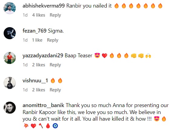 Fans react to Animal teaser