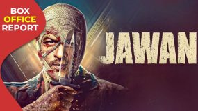 jawan box office, shah rukh khan,
