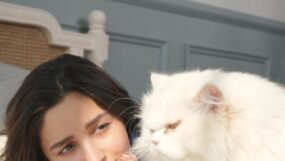 National Pet Day 2024- Bollywood actors with their adorable pets