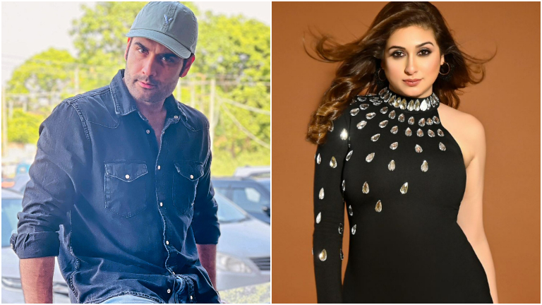 vivian dsena, vivian dsena divorce, vivian dsena bigg boss 18