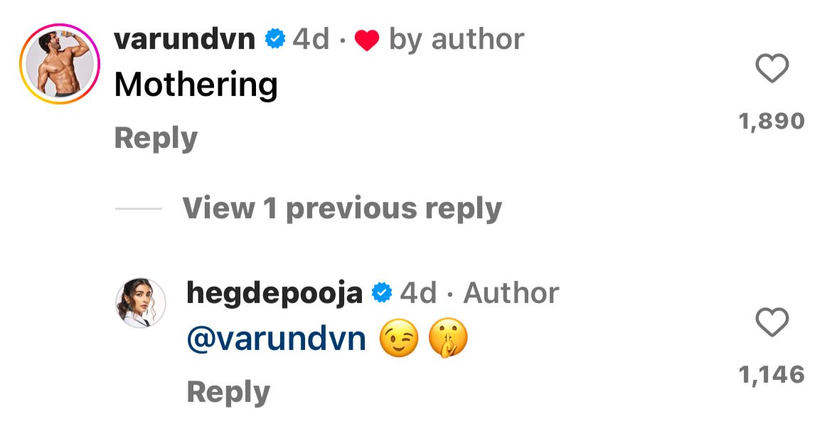 Varun Dhawan praises Pooja Hedge