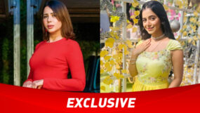 rozlyn khan, anupamaa, alisha parveen,