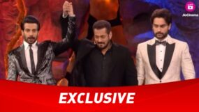 vivian dsena, karan veer mehra, bigg boss 18, vivian dsena bigg boss 18