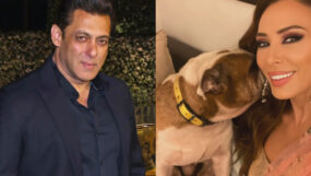 salman khan, salman khan pet, salman khan pet dog, iulia vantur,